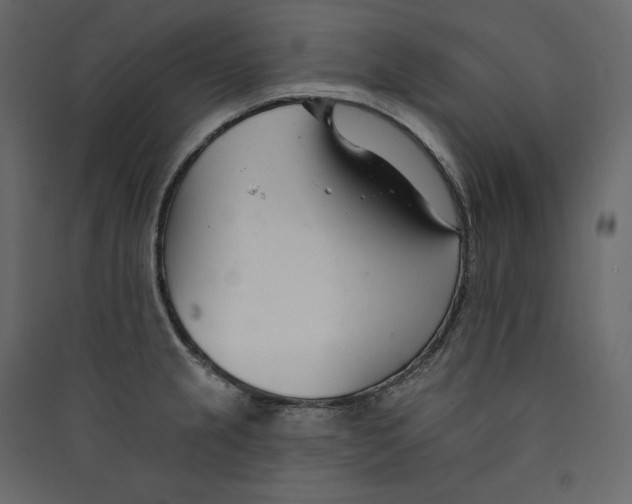 X0000089421237200707131815