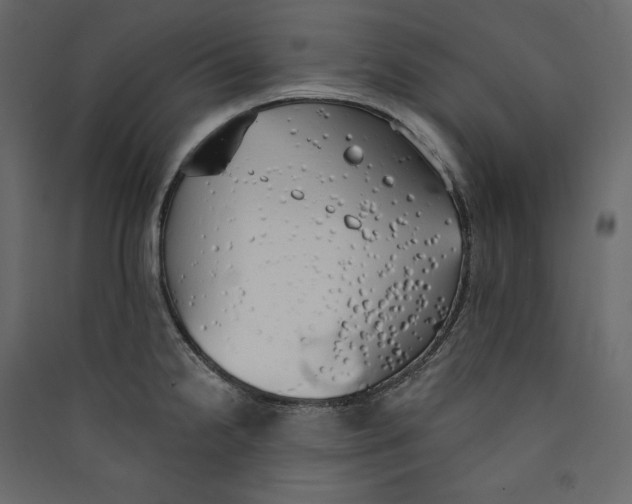 X0000089421238200707131815