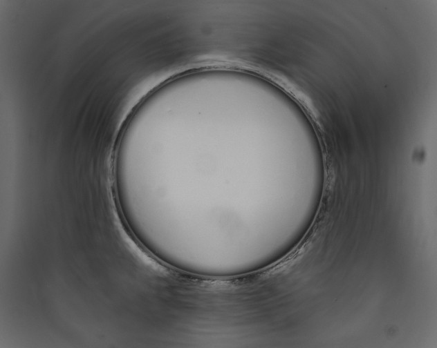 X0000089421239200707131815