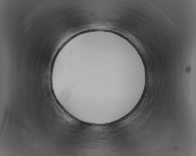 X0000089421240200707131815