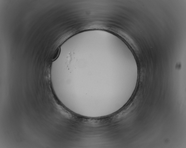 X0000089421241200707131815