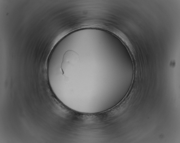 X0000089421242200707131815