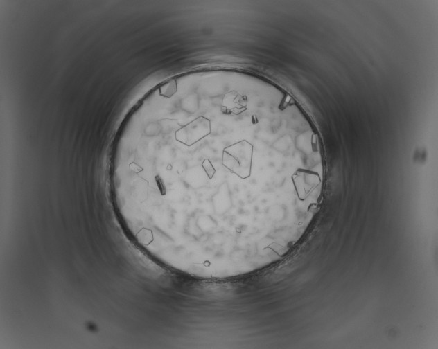 X0000089421243200707131815
