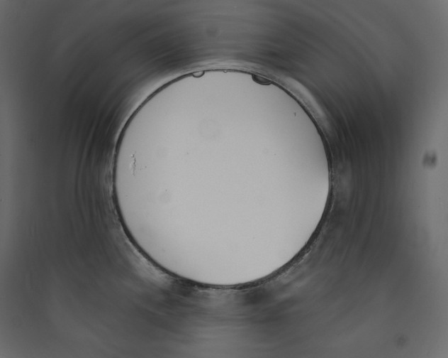 X0000089421244200707131815