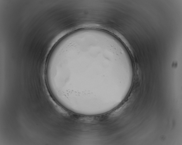 X0000089421245200707131815