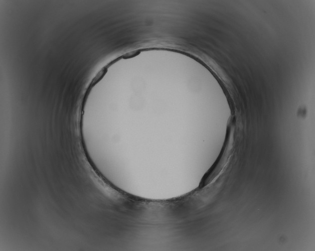 X0000089421246200707131815