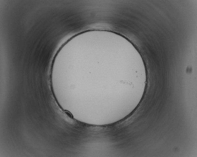 X0000089421248200707131815
