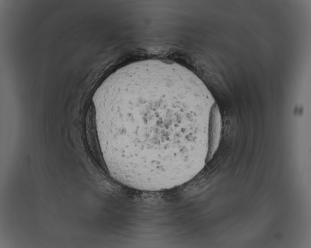 X0000089421249200707131815