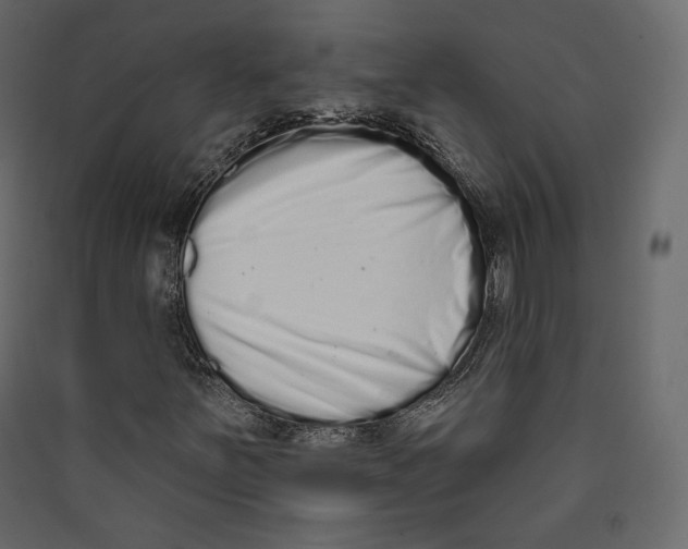 X0000089421251200707131815