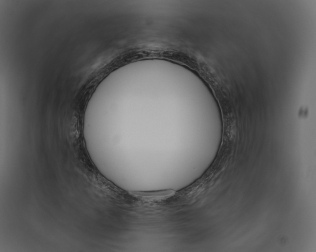 X0000089421253200707131815