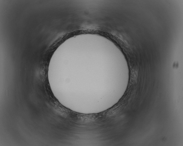 X0000089421254200707131815