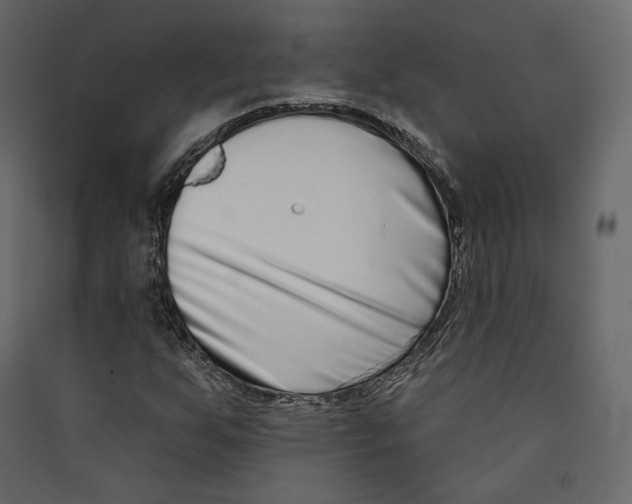 X0000089421255200707131815