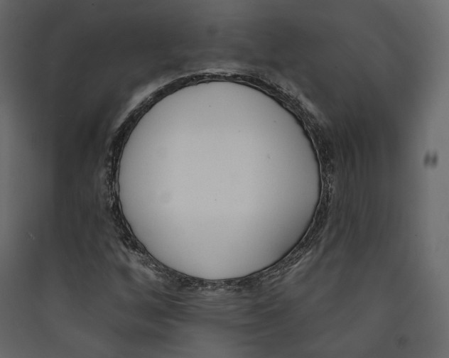 X0000089421256200707131815