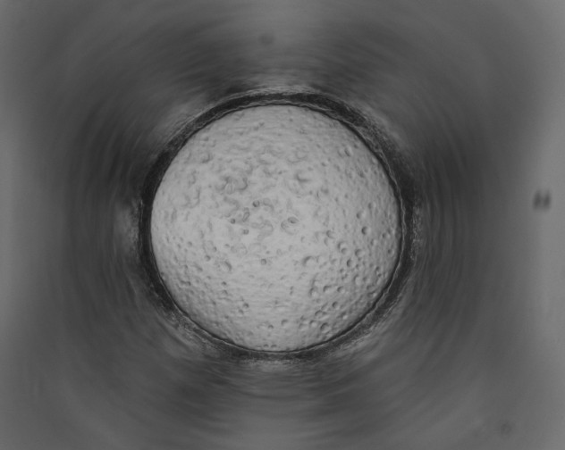 X0000089421257200707131815