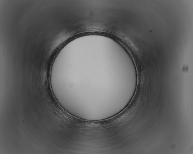 X0000089421261200707131815