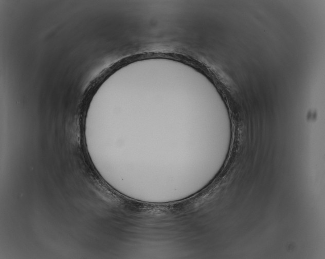 X0000089421262200707131815