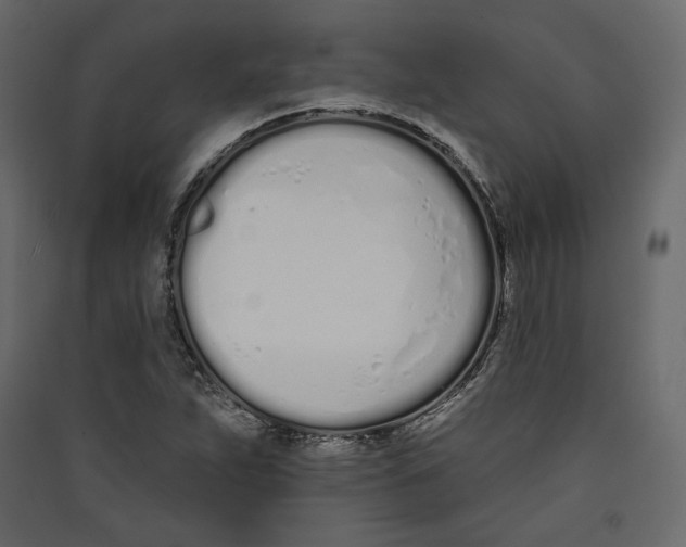 X0000089421263200707131815