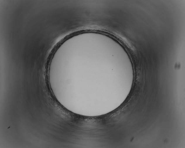 X0000089421264200707131815
