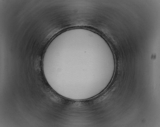 X0000089421265200707131815