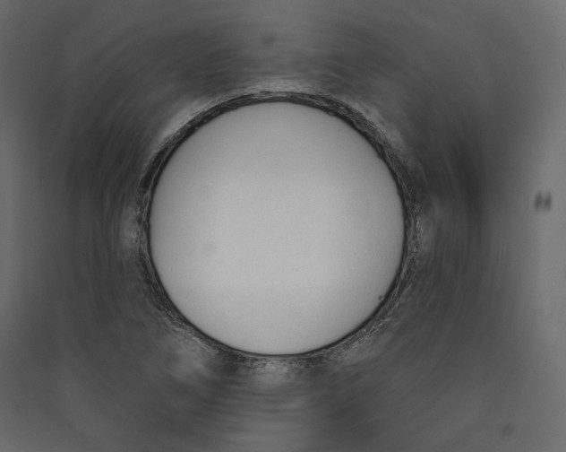 X0000089421266200707131815
