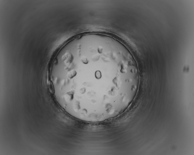 X0000089421269200707131815