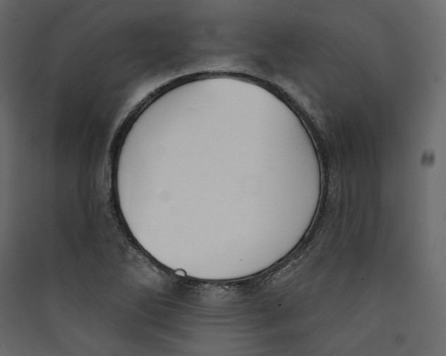 X0000089421270200707131814