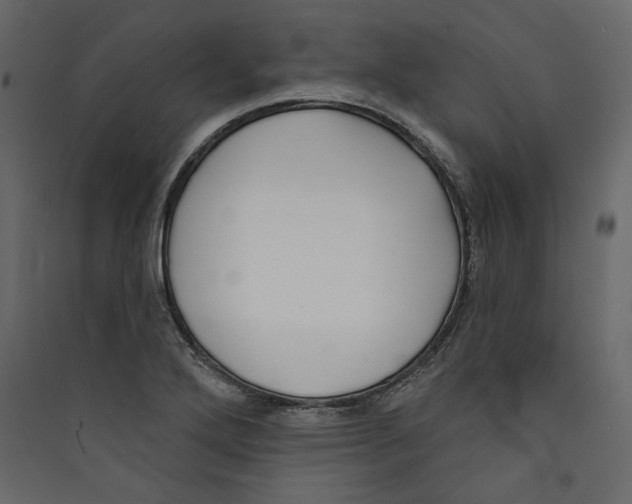 X0000089421272200707131814