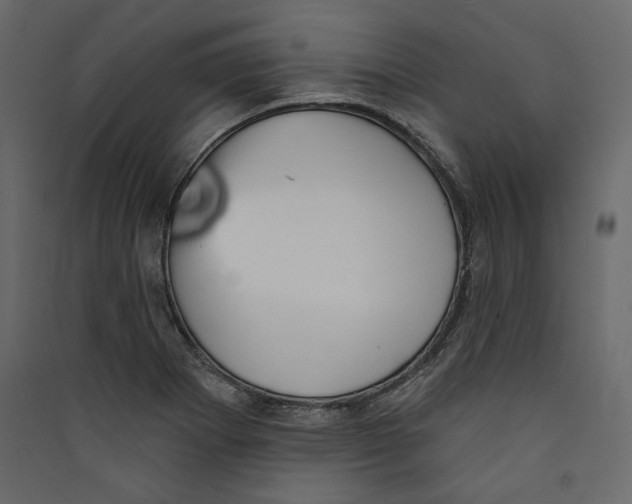 X0000089421273200707131814
