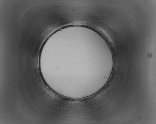 X0000089421276200707131814