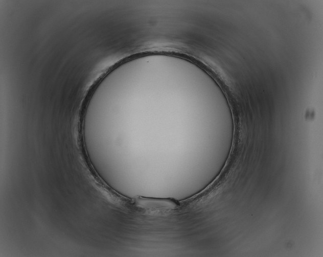 X0000089421277200707131814