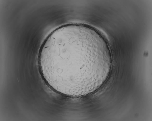 X0000089421279200707131814
