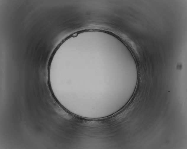 X0000089421280200707131814