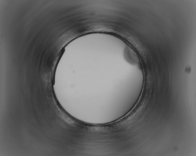 X0000089421281200707131814