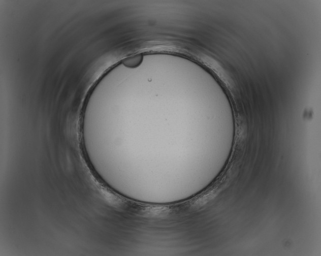 X0000089421282200707131814
