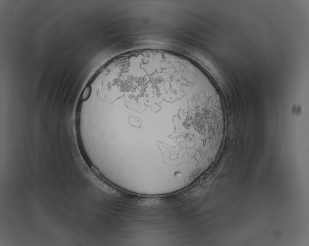 X0000089421283200707131814