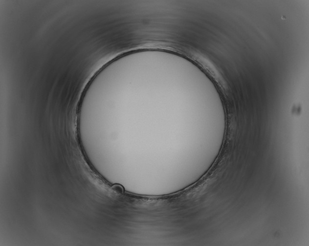 X0000089421284200707131814