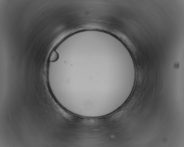 X0000089421286200707131814