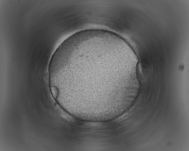 X0000089421287200707131814