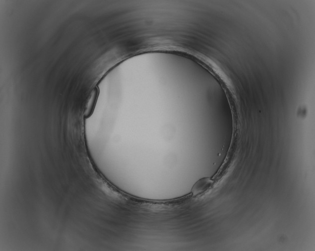 X0000089421289200707131814