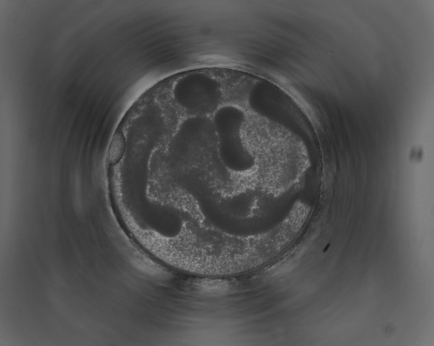 X0000089421291200707131814