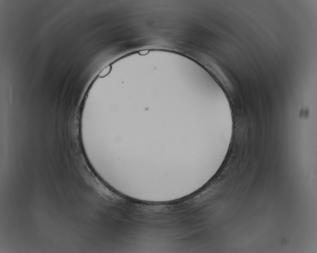 X0000089421292200707131814