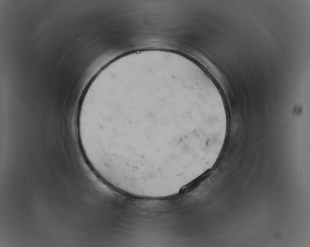 X0000089421293200707131814