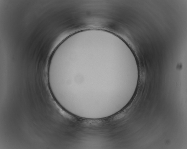 X0000089421294200707131814