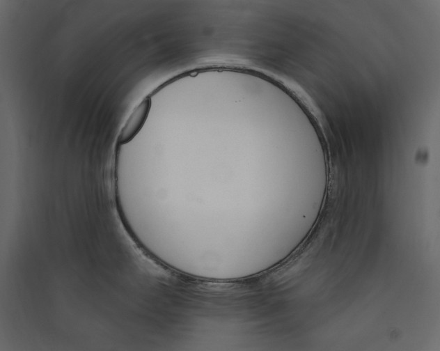 X0000089421295200707131814