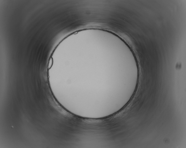 X0000089421296200707131814