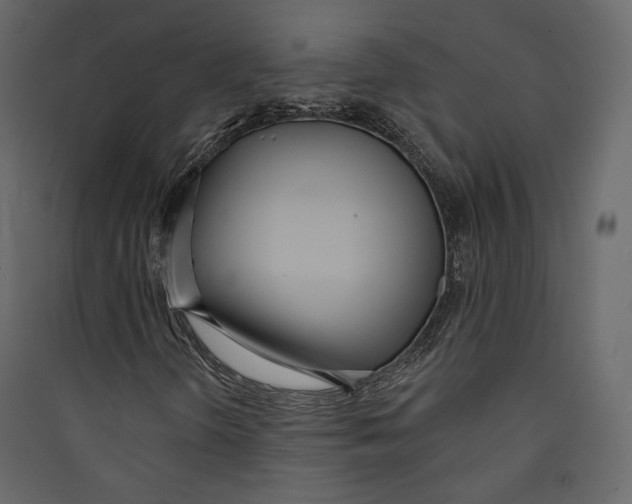 X0000089421298200707131813