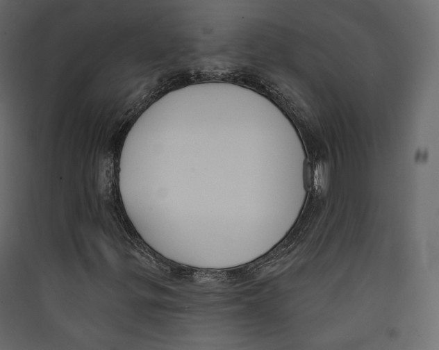 X0000089421299200707131813