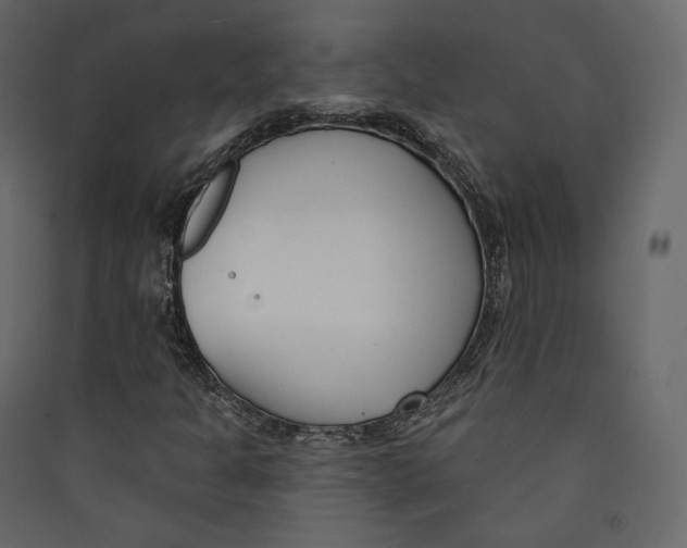 X0000089421301200707131813