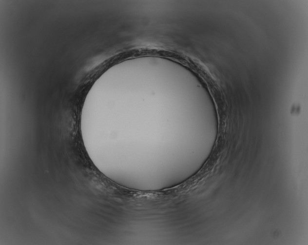 X0000089421303200707131813