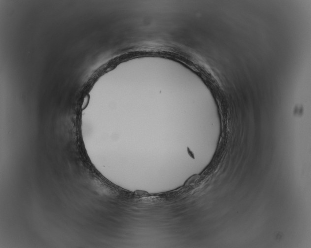X0000089421304200707131813